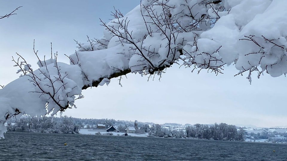 Blick über den Zürichsee zur Insel Ufenau.