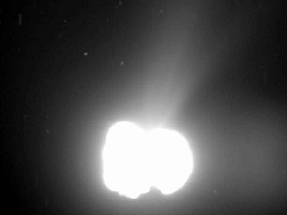 Der Komet, von einer hellen Wolke umgeben.