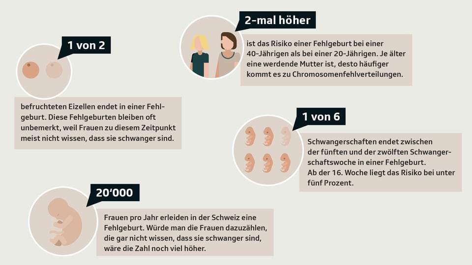 Eine Grafik, die die Risiken einer Fehlgeburt aufzeigt. 