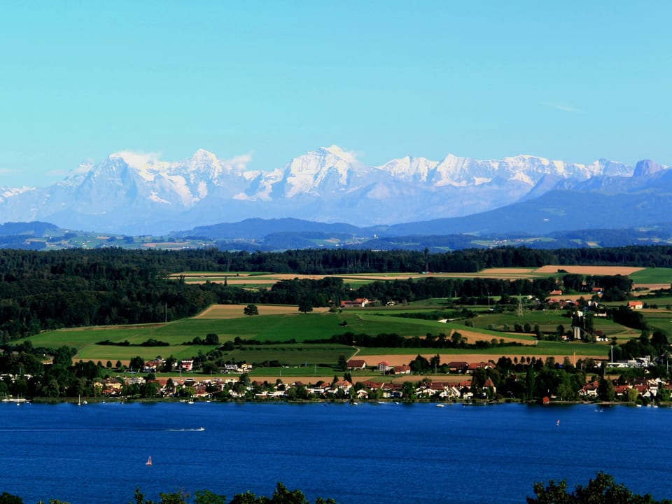Blick von einem Hügel über einen stahlblauen See und das Mittelland bis zu den Alpen mit Schnee auf den Gipfeln. 