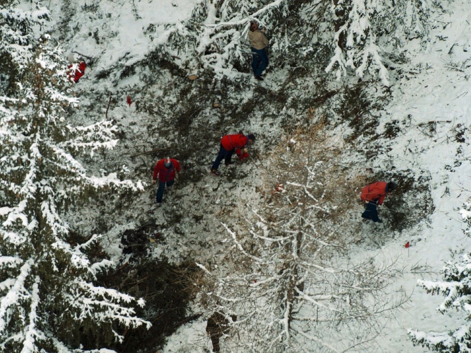 Männer in roten Jacken in einem steilen Waldstück im Schnee.
