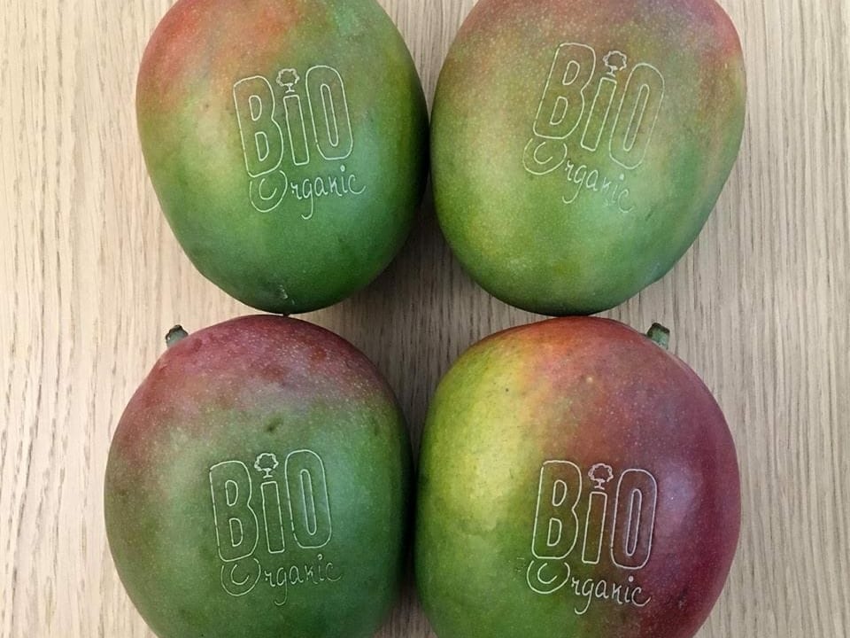 Mango mit Branding
