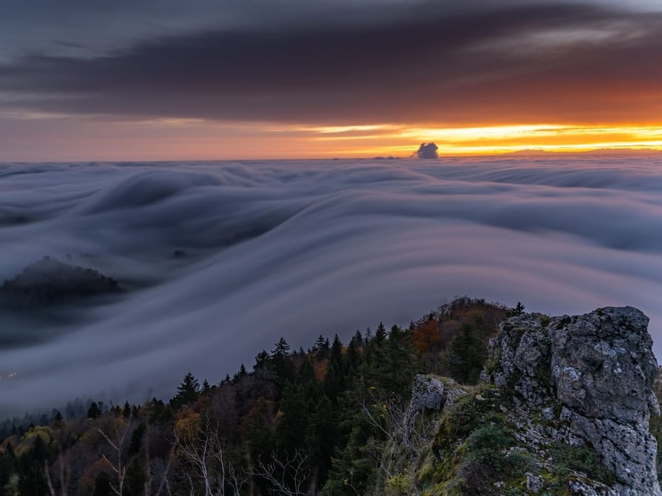 Belchenflue/BL Nebelwelle beim Sonnenaufgang