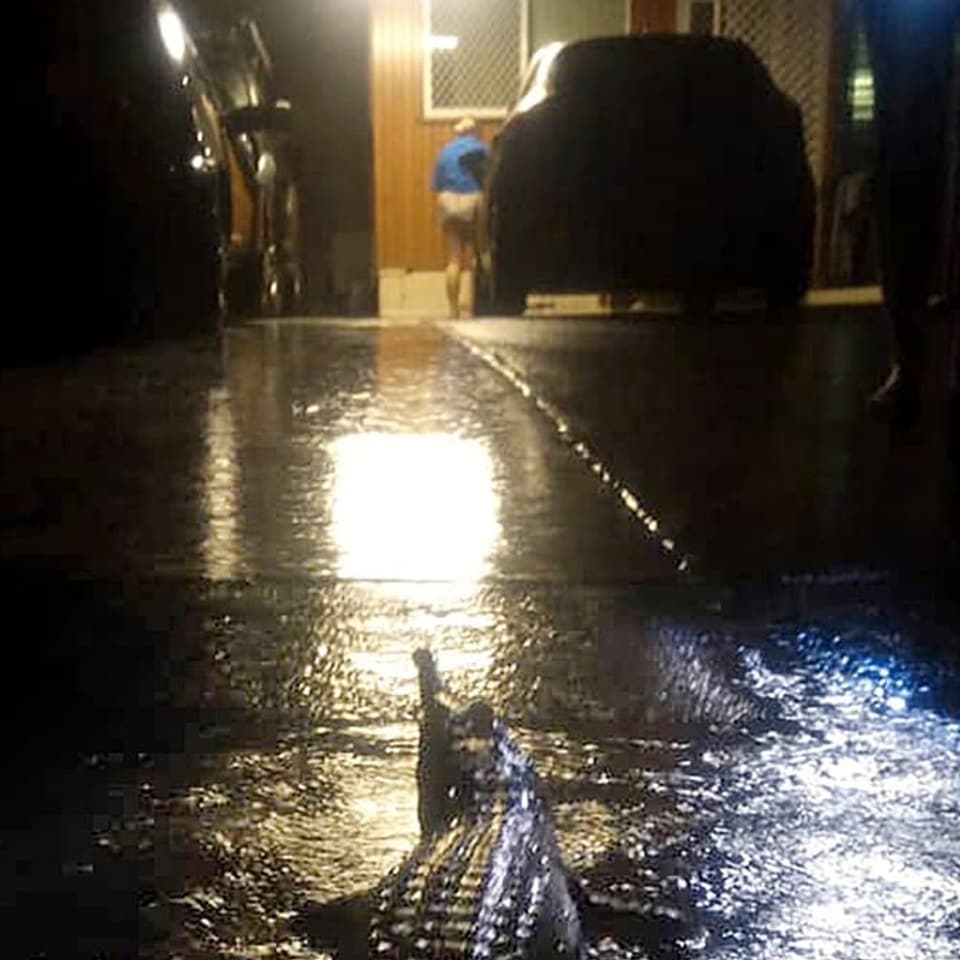 Mann steigt in einer Garage in ein Auto. Davor lauert ein Krokodil.