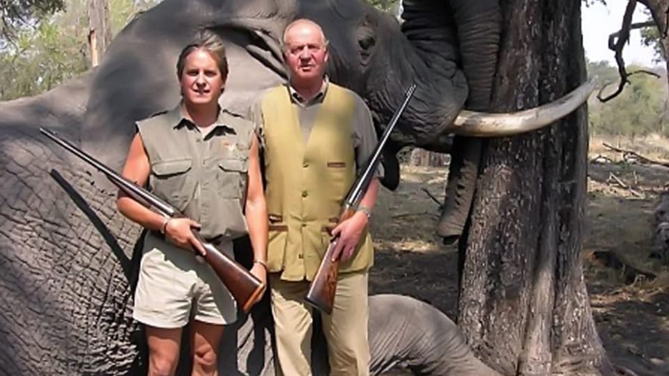 Zwei Männer mit Waffen im Arm posieren vor einem toten Elefant. 
