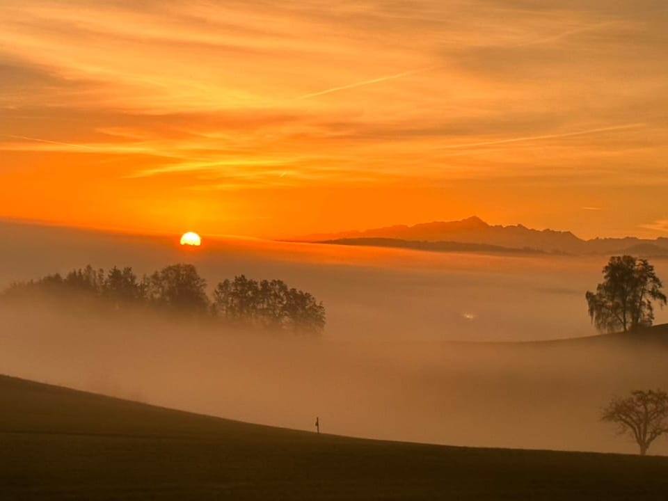 Eschlikon/ZH Morgenstund hat Gold im Mund.