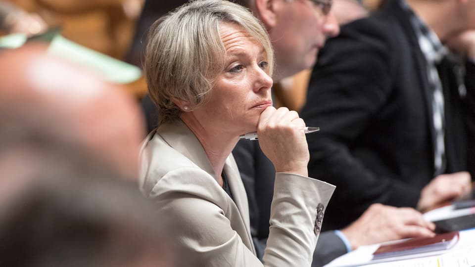 Elisabeth Schneider-Schneiter sitz im Nationalrat