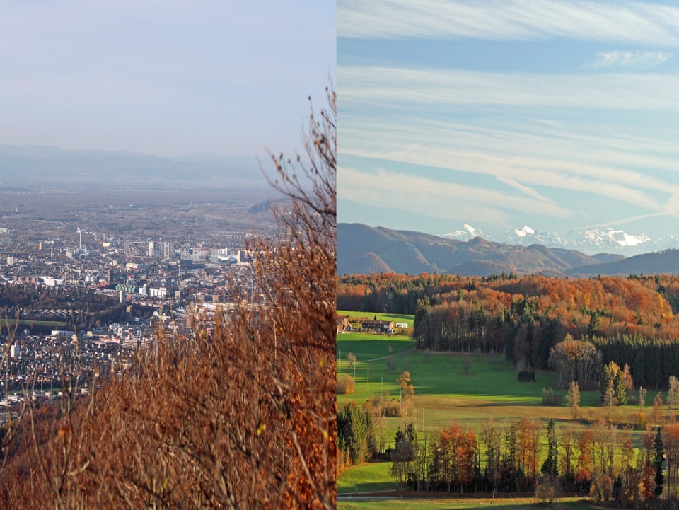 Klare Sicht auf Basel und Berner Alpen vom Gempenturm