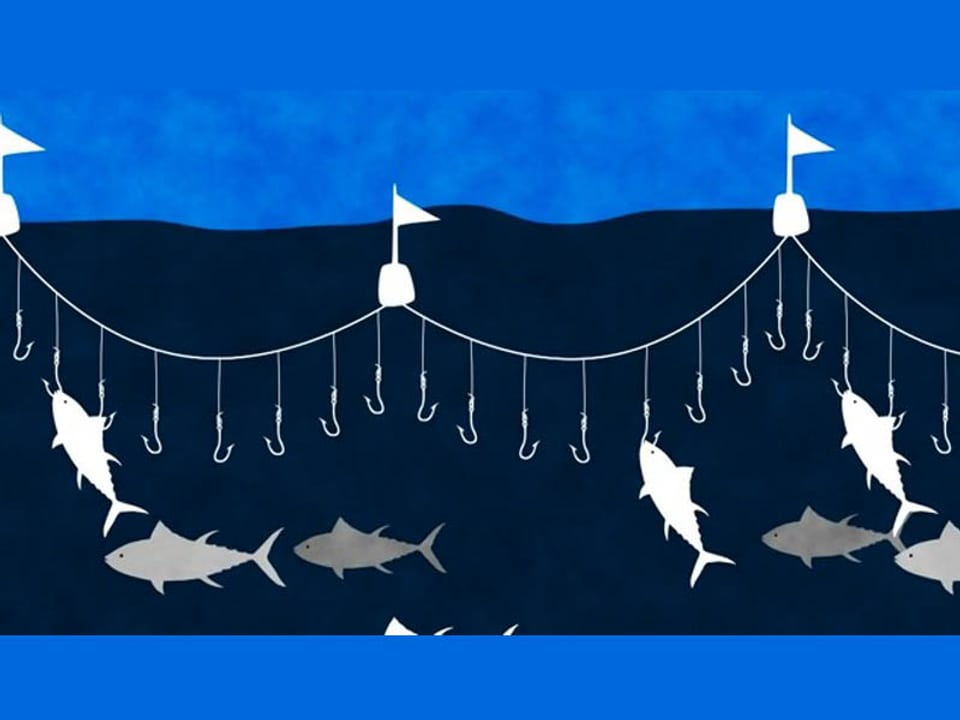 Grafik Langleine Fischfang