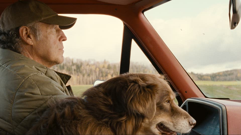 Ein Mann mit Mütze in einem Auto auf dem Land, auf dem Beifahrersitz ein Hund.