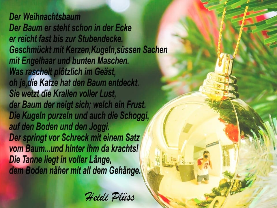 Ein Gedicht auf einem Bild mit einem Weihnachtsbaum.
