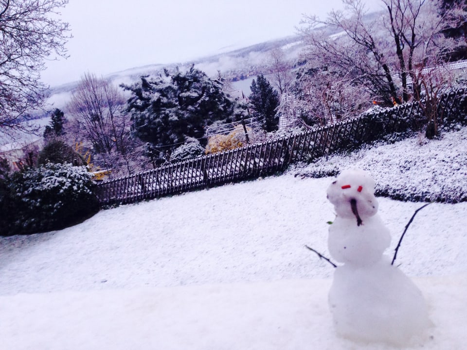 Ein Schneemann steht in einem Garten, im Hintergrund der Zürichsee.