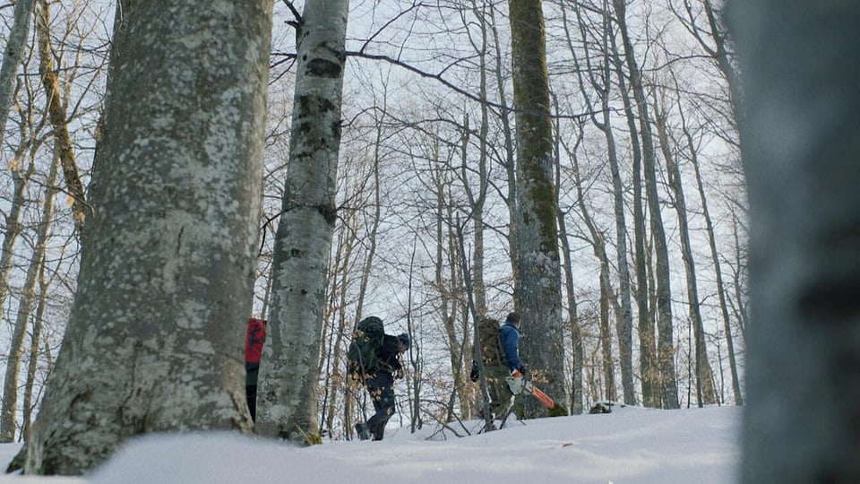 Männer laufen durch ein verschneites Waldstück.