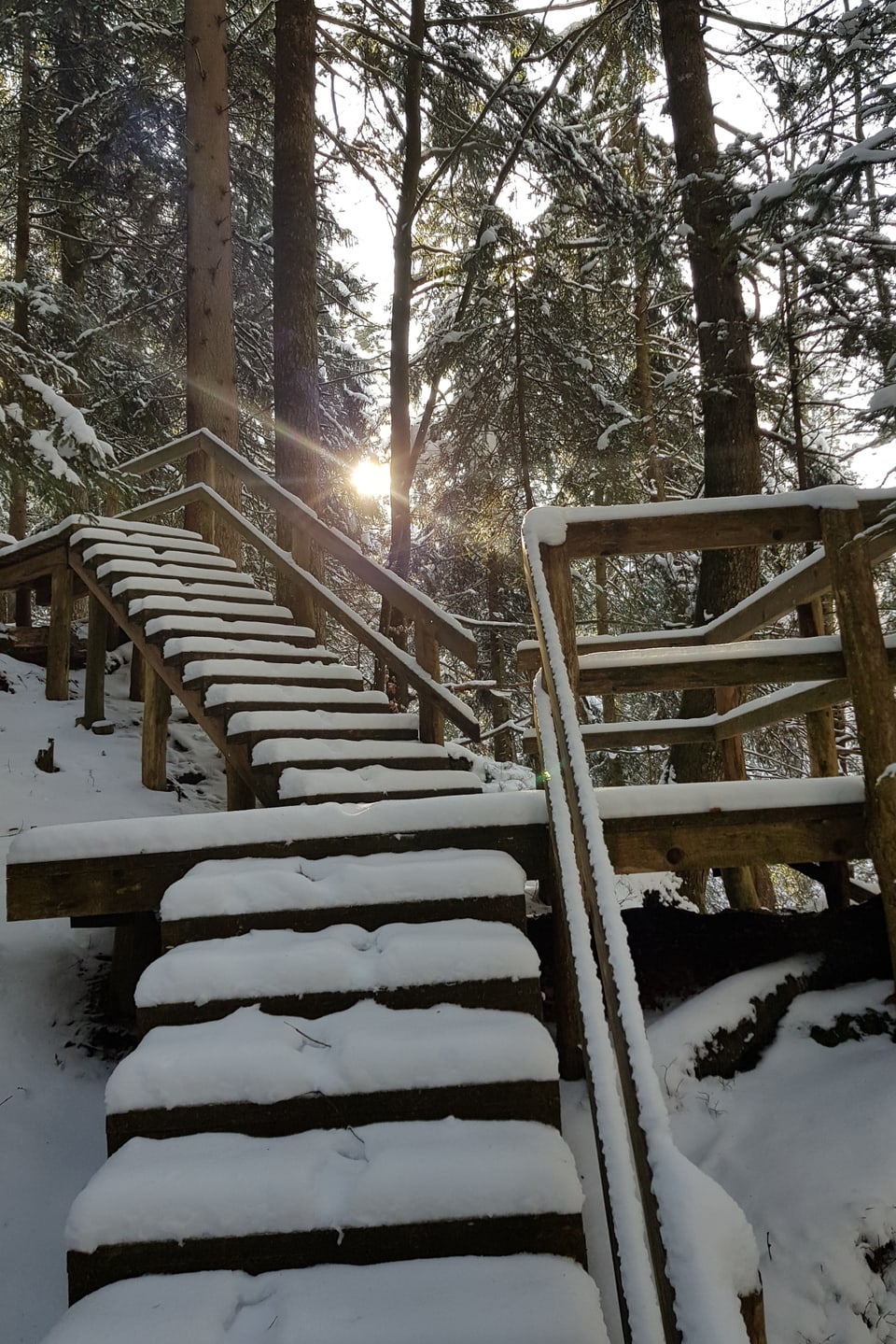 Das Bild zeigt eine zugeschneite Treppe im Wald. 