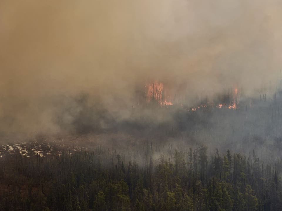 Waldbrand mit dichtem Rauch über einem Wald.