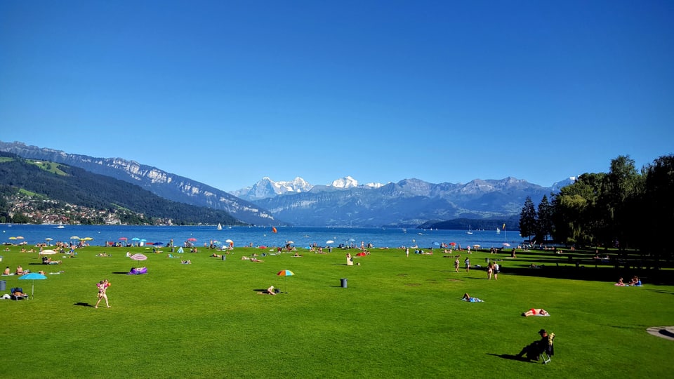 Badende am Thunersee am 23. August. Im Hintergrund die Berner Alpen unter wolkenlosem Himmel.