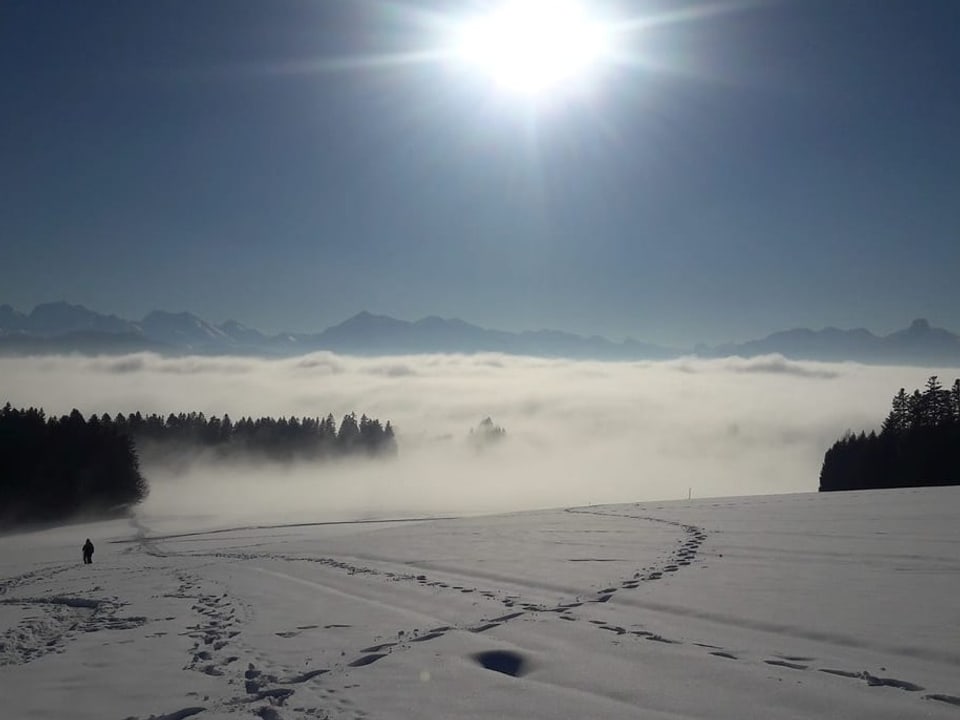 Heimenschwand bei Thun / BE Hochnebelmeer