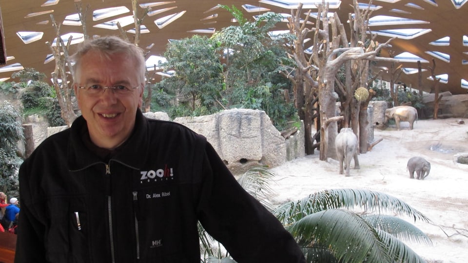 Voller Einsatz für den Zoo: Alex Rübel im Interview (5.1.15)