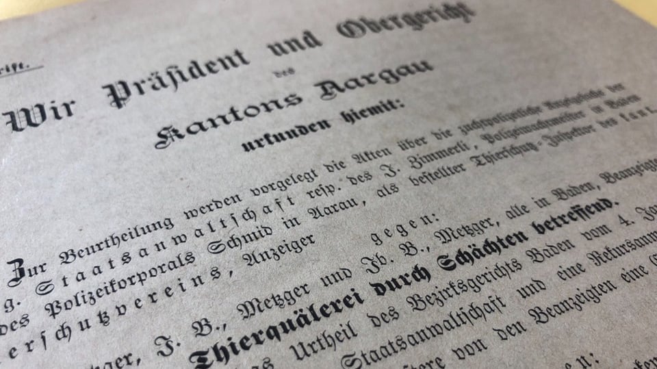 Das Urteil des Aargauer Obergerichts vom Mai 1887. 