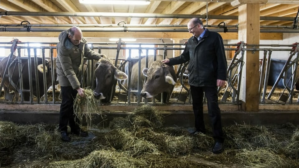 Markus Ritter (rechts im Bild) hat Verständnis für die Bauern, die trächtige Kühe schlachten.
