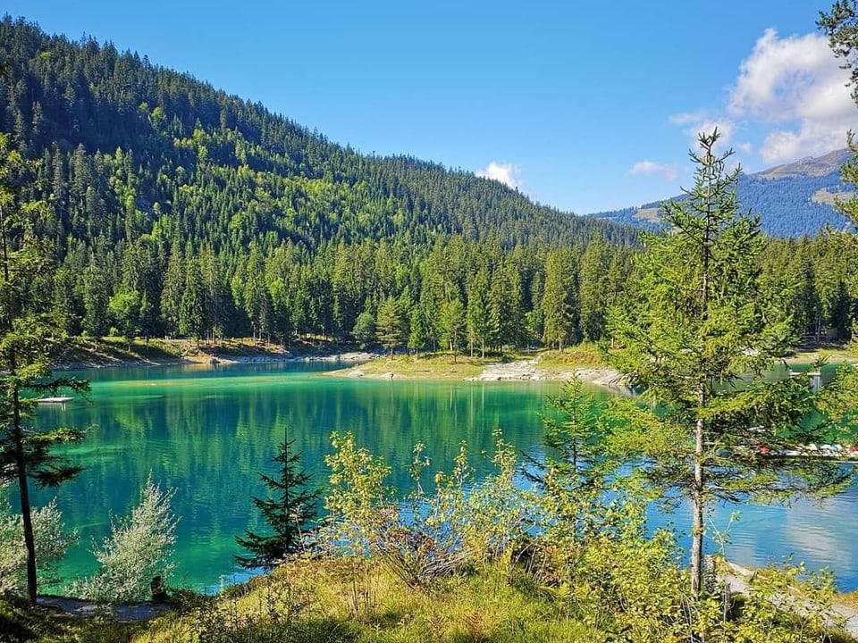 Caumasee/GR: grüner See, dahinter Tannenwald und blauer himmel.