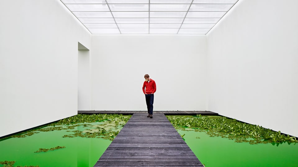 Mann mit rotem Pulli steht in einem Innenraum mit grünem Wasser am Boden