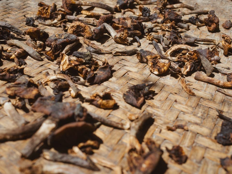 In order to preserve food all year round, a lot of fermentation or sun-drying is done in Nepal – like the mushrooms here.