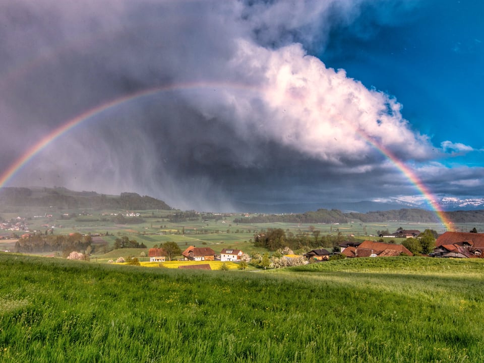 Regenbogen auf grüner Wiese. Links starker Regen, rechts blauer Himmel.