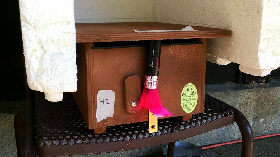 eine Kiste mit einem rosa Schminkpinsel vorne dran
