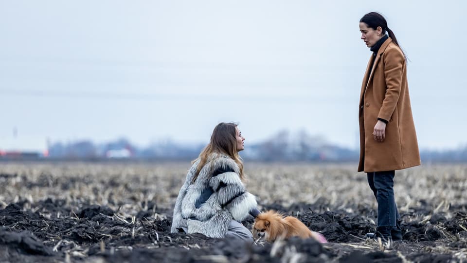 Eine Frau sitzt auf einem Feld mit einem Hund. Vor ihr steht eine Frau. 