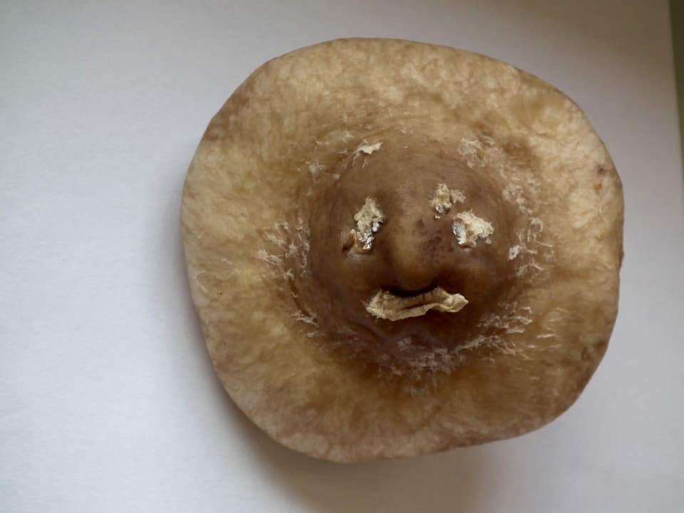 Eine Kartoffel mit einem Gesicht.