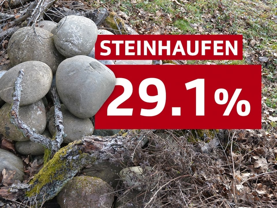 29.1% Steinhaufen
