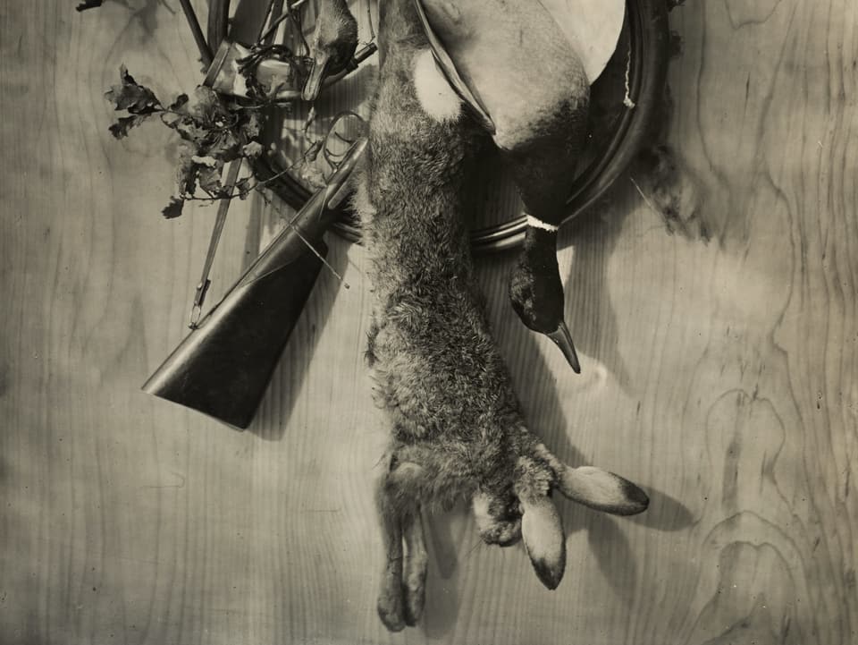 Jagdzubehör und ein toter Hase auf einer alten Fotografie.