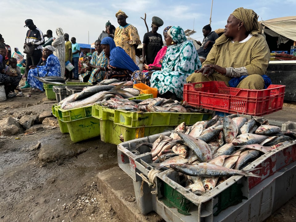 Männer und Frauen preisen auf dem Markt ihren Fisch an