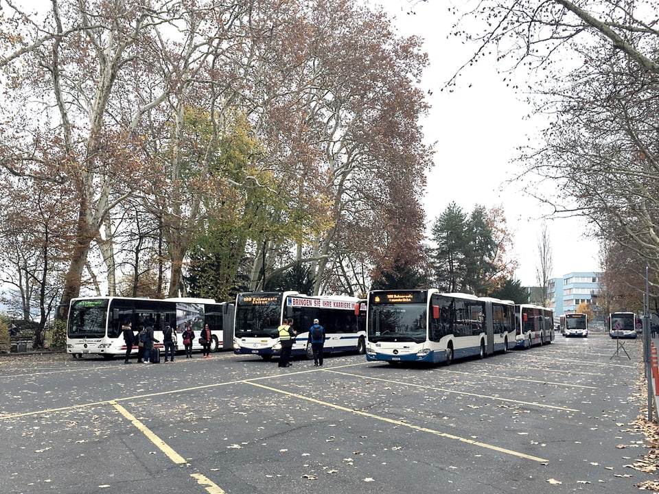 Mehrere Busse der Verkehrsbetriebe Luzern stehen auf dem Inseli bereit.