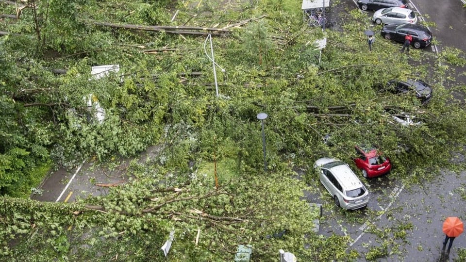 Durch einen Sturm gefällte Bäume liegen auf der Strasse