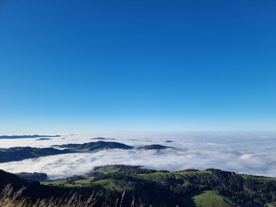 Blick vom Kromberg über die Hügeligen Appenzeller Voralpen die aus dem Nebel ragen