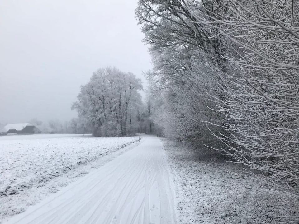 Weisse Landschaft unter dem Nebel