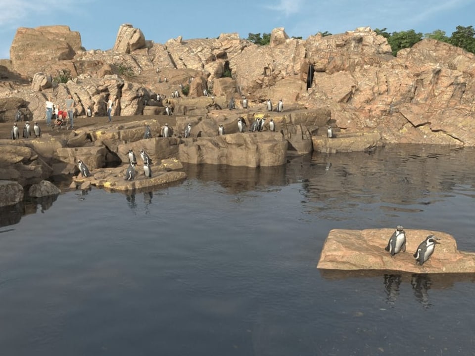 Zoobesucher stehen vor Pinguinen an künstlicher Küste