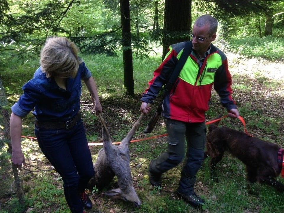 Zusammen mit dem Wildhüter Simon Quinche kümmert sich Sabine Dahinden um verletzte und tote Tiere der A1 entlang.