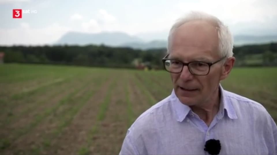 Ein älterer Herr steht auf einem Feld.