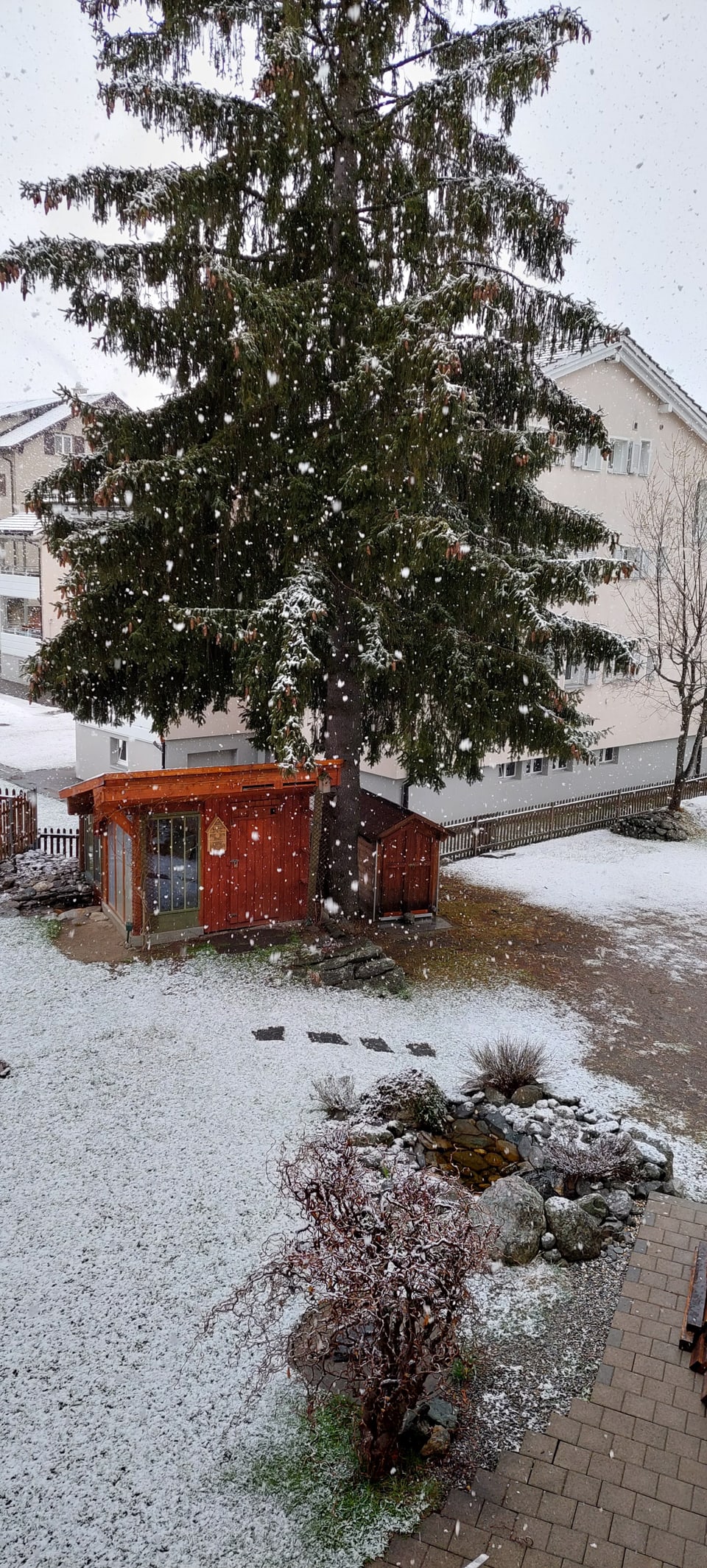 Andermatt/UR Ein Schäumchen Neuschnee auf der Wiese.