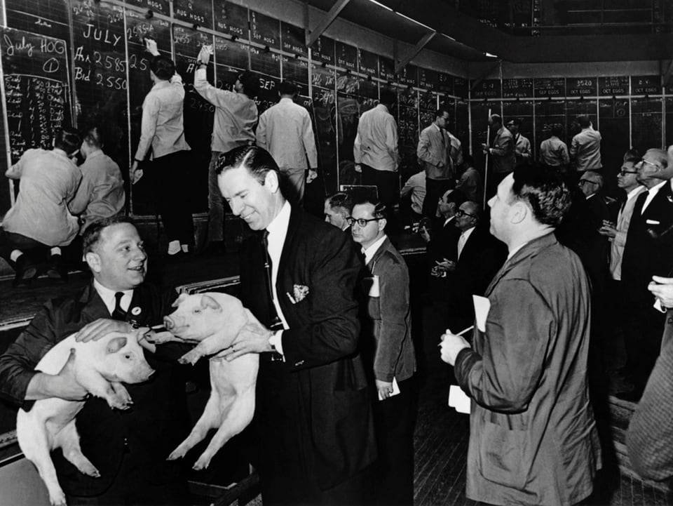Zwei Händler halten 1966 Schweine in der Hand.