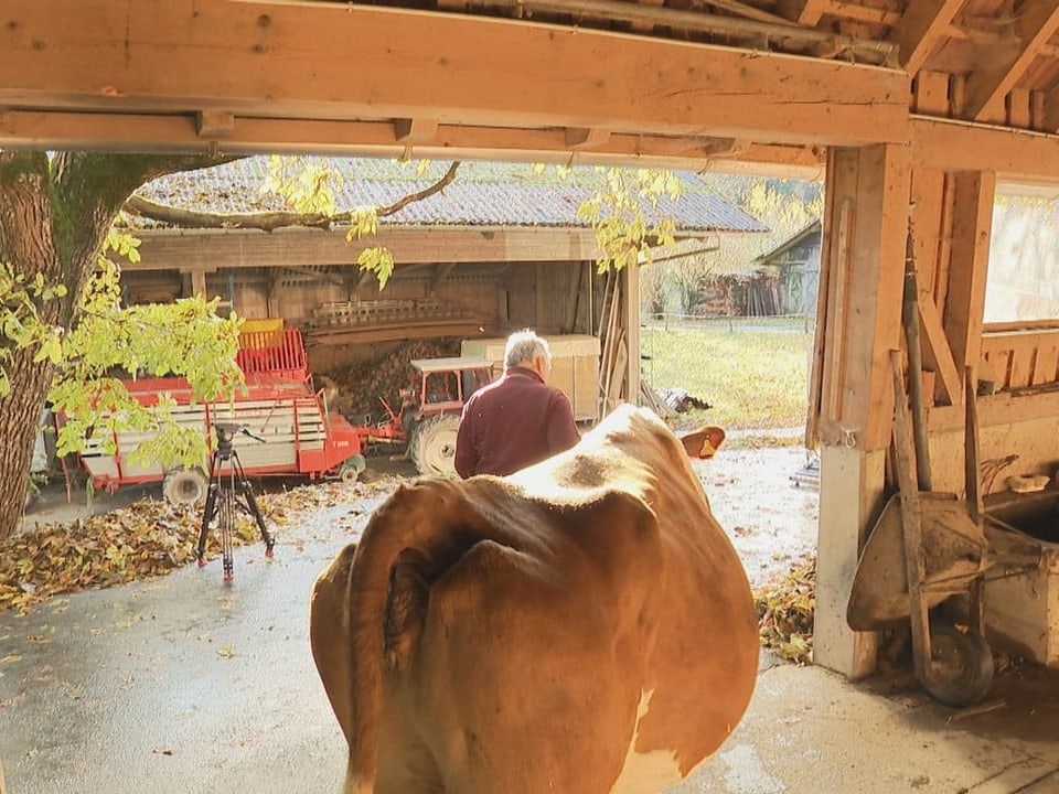 Wandel bei Fleischverarbeitung - Kampf gegen weniger Schlachthöfe und ...