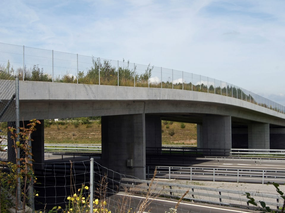 Wildbrücke für Mensch und Tier über die Autobahn bei Cham. 