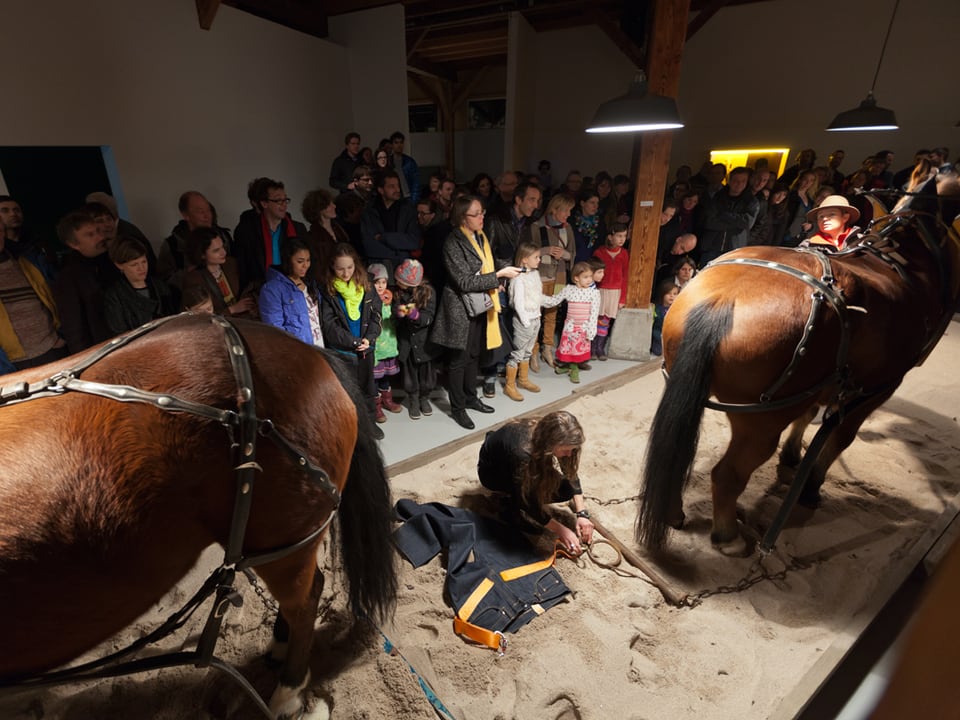 Performance im Kunstraum Walcheturm: Zwei Pferde sollen eine Levi's Jeans zerreissen.