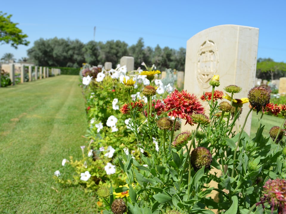 Eine mit Blumen bepflanzte Grabreihe.