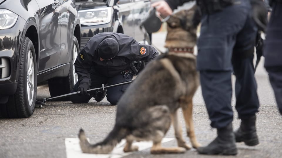 Ein Polizist inspiziert die Unterseite eines Autos, im Vordergrund wartet ein Hund auf seinen Einsatz.