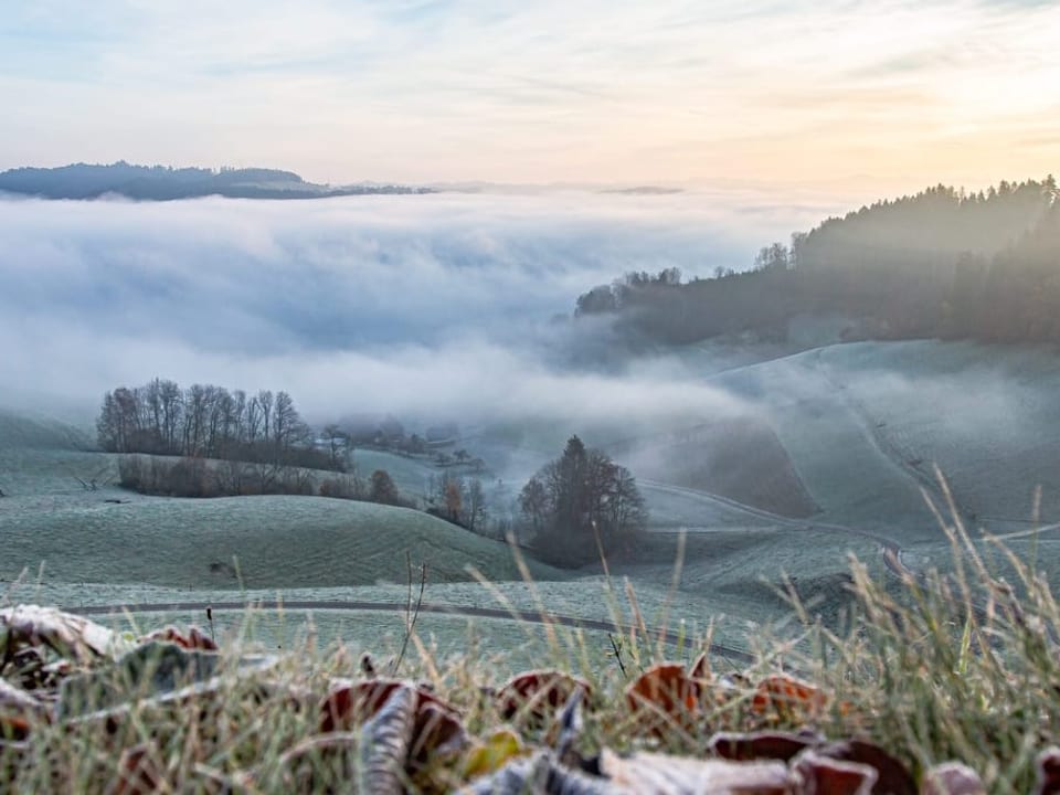 Nebelfall in ein flaches Tal in der Dämmerung