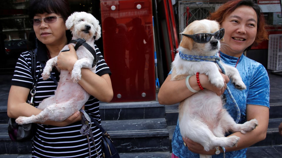 Zwei Frauen, beide mit einem Hund im Arm. 
